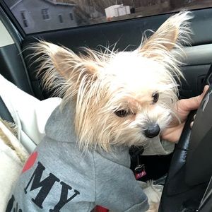 Meet your Posher, Larissa